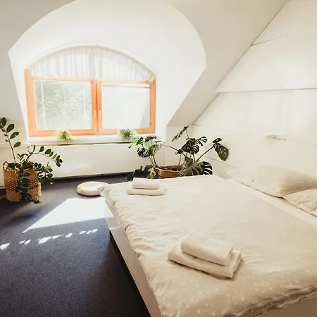 U Racka ホテル Ostrožská Nová Ves